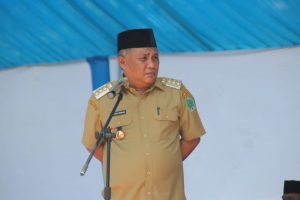 Peduli Nasib Peternak Pemkab Sediakan Rumput Unggulan Bagi Hewan Ternak di Konawe