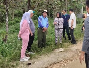 Respon Keluhan Warga, Plt Bupati Koltim Gerak Cepat Perbaiki Jalan di Ambapa Tinondo