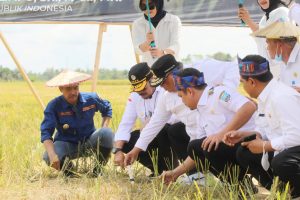 Gelar Panen Raya di Kolaka Timur, Mentan SYL Apresiasi Petani Tingkatkan Produktivitas