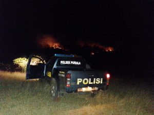 Api Lahap Lahan Seluas 50 Hektar di Puriala Konawe, Polisi dan Masyarakat Masih Siaga