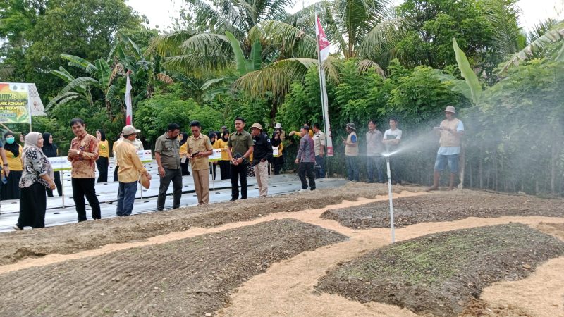 Pj Bupati Konawe Stanley Sambut Baik Launching Kampung Organik dan Gerakan Tanam Sayur Organik